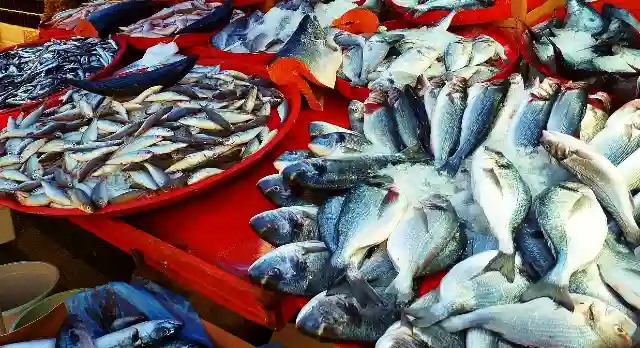 ram nagar fish market