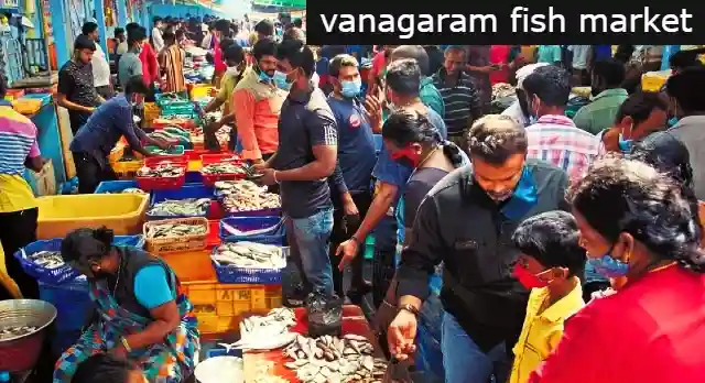 vanagaram fish market