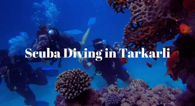 Scuba Diving in Tarkarli