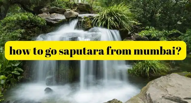 how to go saputara from mumbai